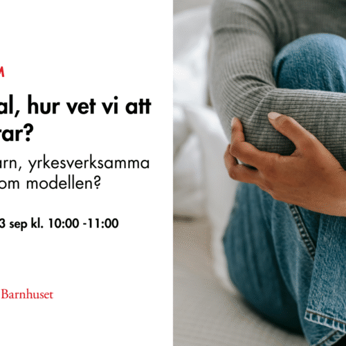 BRA-samtal, hur vet vi att det fungerar?  - Vad säger barn, personal och forskare om modellen?